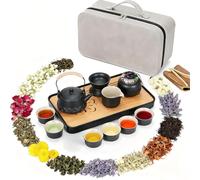 TeamSky Service à thé japonais en céramique, 14 pièces, kit de cérémonie du thé gongfu chinois portable avec infuseur, théière, tasses, tasse à thé, passoire à thé, sac de voyage - Ensemble complet