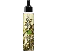 Teaology Soin du corps Bancha Oil 100 ml 100 ml