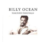 Tear Down These Walls [Import]