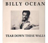 Tear Down These Walls [Import Anglais]
