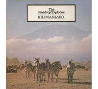 TEARDROP EXPLODES - KILIMANJARO LP (VINYL) UK MERCURY 1980 (Katalog-Nummer: 6359035)