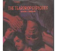 TEARDROP EXPLODES - WHEN I DREAM 7 INCH (7" VINYL 45) UK MERCURY 1980