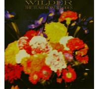 Teardrop Explodes - Wilder