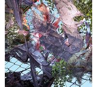 Tears In The Club [輸入盤CD] (FADECD003)_411