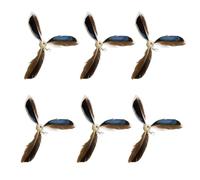 Teasing Teaser pour chats à plumes pour chatons Longue baguette d'exercice et divertissement Jouet de rechange pour chats