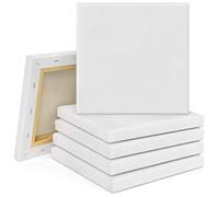Tebery Akademie Lot de 10 châssis entoilés 100 % coton Blanc 20 x 20 cm