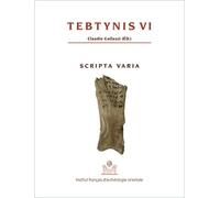 Tebtynis - Volume 6, Scripta Varia : Textes Hiéroglyphiques, Hiératiques, Démotiques, Araméens, Grecs Et Coptes Sur Différents Supports