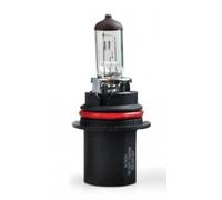 TECH Z11 Ampoule, projecteur longue portée