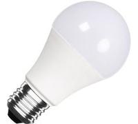 LEDKIA LIGHTING Ampoule LED 12/24V E27 10W 1000 lm A60 No Flicker 3000K Blanc chaud