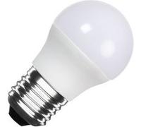 TechBrey Ampoule LED 12/24V E27 5W 400 lm G45 No Flicker 4000K Blanc neutre G