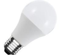 Ampoule LED 12/24V E27 6W 600 lm A60 No Flicker 3000K Blanc chaud