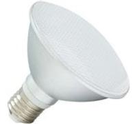 TechBrey Ampoule LED E27 10W 900 lm PAR30 IP65 2700K Blanc chaud blanc G