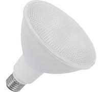 TechBrey Ampoule LED E27 PAR38 15W 1350lm IP65 5000K Blanc froid blanc G