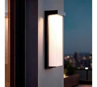 TechBrey Applique Murale LED Extérieure Aluminium Tyron 22W 4000K Noir Blanc neutre Noir