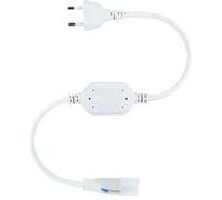 TechBrey Câble Rectificateur pour Néon LED Flexible 360º Rond Monochrome Blanc Blanc