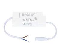 TechBrey Driver EAGLERISE 220-240V Sortie 67-100V DC 300mA 30W No Flicker LS-30-300RI 30 W