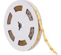 Ruban LED 12V COB 320 LED/m 5m 10W/m 1000lm/m Largeur 8mm Coupe 2.5cm IP20