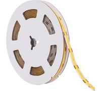 LEDKIA LIGHTING Ruban LED 12V COB 320 LED/m 5m 10W/m 1000lm/m Largeur 8mm Coupe 2.5cm IP20 CRI90 2200K Super chaud