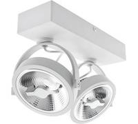 TechBrey Spot LED 30W CREE en Saillie Orientable AR111 Dimmable Blanc 4000K Blanc neutre Blanc G