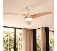 TechBrey Ventilateur de Plafond avec Éclairage Silencieux DC Eubea Blanc Télécommande Grand (plus de 20 m²) 132 cm Blanc Blanc