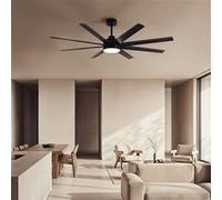 TechBrey Ventilateur de Plafond avec Éclairage Silencieux DC Hidra Noir Télécommande Grand (plus de 20 m²) 165 cm Noir Noir