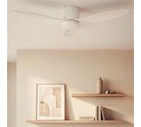 TechBrey Ventilateur de Plafond Silencieux avec Éclairage DC Weimar pour Extérieur Blanc Télécommande Grand (plus de 20 m²) 132 cm Blanc Blanc