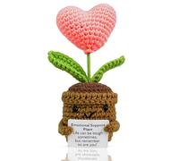 TECHEEL Pocket Hug - Fleur positive - Cadeau de remerciement - Pomme de terre positive allemande - Porte-bonheur pour amis, collègues et famille - Porte-bonheur - Cadeau de remerciement