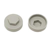 TechFast Boîte de 100 cache-vis de toiture | 19 mm | Gris Goosewing - Plastique