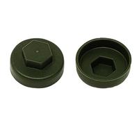 TechFast Boîte de 100 cache-vis pour toiture | 19 mm | Vert olive - Plastique