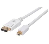 Techly 109771 Câble Mini DisplayPort mâle vers DisplayPort mâle 4K 60 Hz 2 m Blanc
