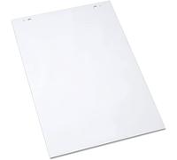 TECHLY 366143 Bloc de 25 feuilles de rechange pour tableau noir mobile Flipchart 57 x 82 cm Blanc