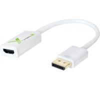 Techly Adaptateur DisplayPort M 1.2 vers HDMI F, passif, 1080p 6