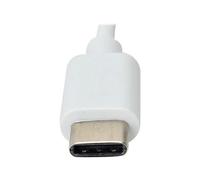 TECHly Converter Cable Adapter USB 3.1 Type CM to Gigabit Ethernet - Adaptateur réseau - USB 3.1 - 1GbE - 1000Base-T