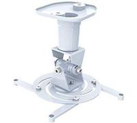 Techly ICA-PM 100WH support pour projecteurs Plafond Blanc