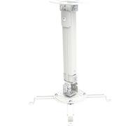 Techly ICA-PM-18S Techly support plafond pour beamer, extensible, 38-58cm,argent