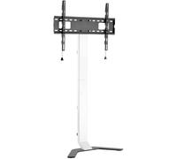 Support de sol Super Slim - Techly - 361834 - TV LCD/LED/Plasma 32 à 70 - Couleur Blanc