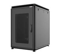 TECHLY PROFESSIONAL 364750 Rack Serveur 19" 600x1000 16 Unités Noir série Evolution Noir