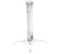 Techly Bras de projecteur au plafond ICA-PM 18S 580 lc