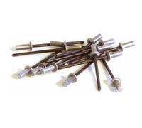 Techman - 100 rivets étanches alu/acier (tête plate) Ø 3,2 x 8 mm G