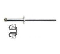 Techman - 25 rivets Graf alu / acier à tête plate Ø 4,8 x 18 mm G