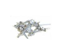 Techman - 250 rivets alu / acier à tête large Ø 4,8 x 12 mm