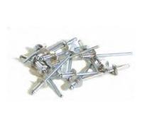 Techman - 250 rivets alu / acier à tête large Ø 4,8 x 12 mm