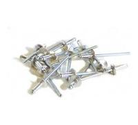 Techman - 50 rivets alu / acier à tête large Ø 4,8 x 12 mm G