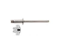 Techman - 50 rivets inox / inox à tête plate Ø 4 x 6 mm G