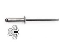 Techman - 75 rivets acier / acier à tête plate Ø 4 x 8 mm G