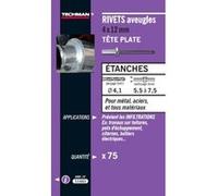 Techman - 75 rivets étanches alu/acier (tête plate) Ø 4 x 10 mm G