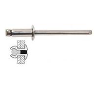 Techman - 75 rivets inox / inox à tête plate Ø 3,2 x 8 mm G