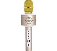 Technaxx PRO BT-X35 Enceinte Bluetooth AUX, SD, USB or Argent G