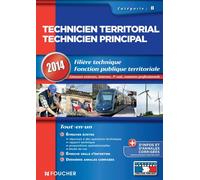 Technicien territorial, Technicien principal: Fonction publique territoriale, Catégorie B