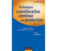 Techniques d'amélioration continue en production 33 méthodes et outils pour développer les savoir-faire - Robert Chapeaucou - Dunod - broché - Etude